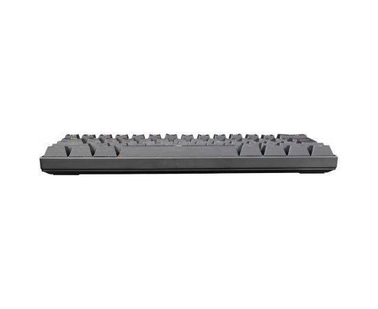 White Shark Shinobi GK-2022 Blue Switch, Black US