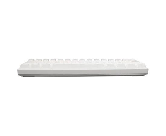 White Shark GK-2022 Shinobi Red Switch, White US