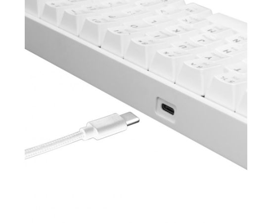White Shark GK-2022 Shinobi Red Switch, White US