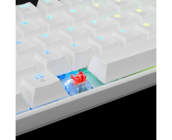 White Shark GK-2022 Shinobi Red Switch, White US