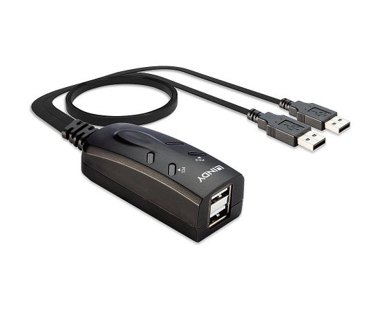 NET SWITCH KVM USB 2PORT/32165 LINDY