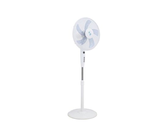 Beper P206VEN132