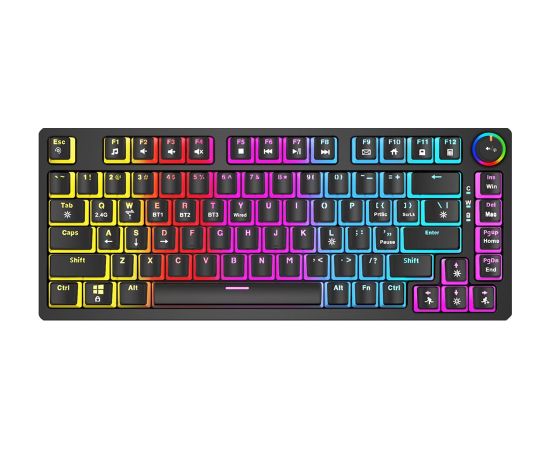 SAVIO PHENIX Wireless mechanical keyboard, Gateron Red Pro, Pudding