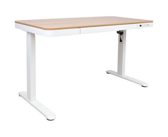 Письменный стол ERGO с 1 мотором 120x60xH72-121см, белый/дуб
