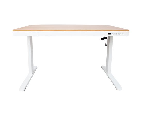 Письменный стол ERGO с 1 мотором 120x60xH72-121см, белый/дуб