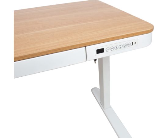 Письменный стол ERGO с 1 мотором 120x60xH72-121см, белый/дуб