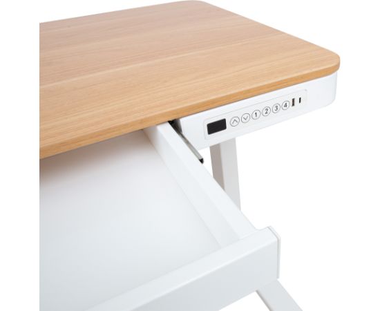 Письменный стол ERGO с 1 мотором 120x60xH72-121см, белый/дуб