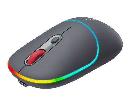 CANYON mouse MW-22 2in1 BT/ Wireless Dark Grey