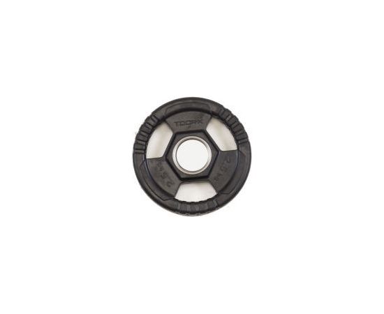 Weights for bars TOORX DGN-TG2,5