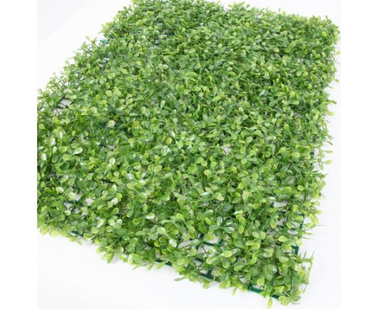 Artificial plant GREENLAND for wall 40x60cm, boxwood Искусственные цветы и растения