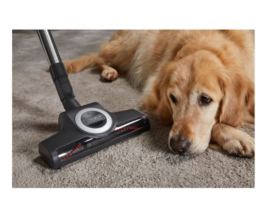 Miele Complete C3 Cat & Dog Flex Red Mango Bag Vacuum Cleaner Putekļu sūcēji