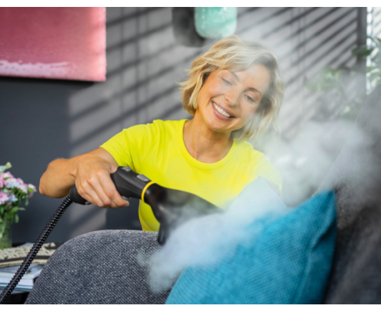 Karcher Garment Steamer