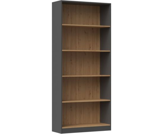 Top E Shop Topeshop R80 ANT/ART biroja grāmatu plaukts