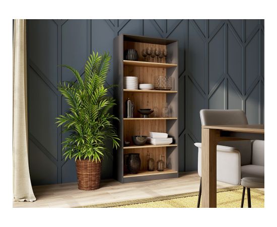 Top E Shop Topeshop R80 ANT/ART biroja grāmatu plaukts