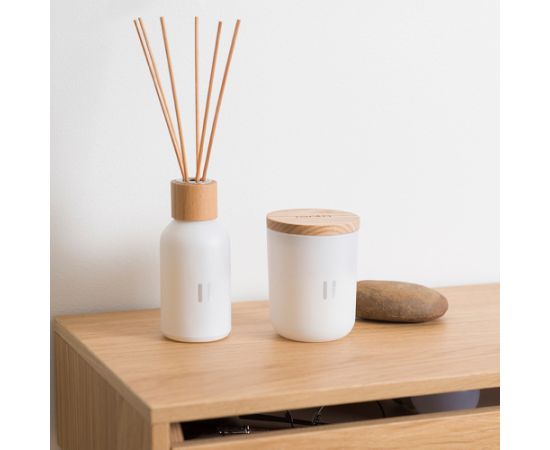 Ароматные палочки RENTO BIRCH, 100мл