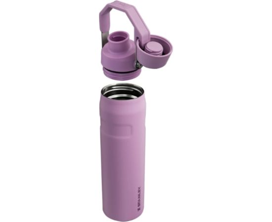 Stanley Thermo Bottle The Aerolight IceFlow Water Bottle Fast Flow 0,6L светло-фиолетовый Бутылки