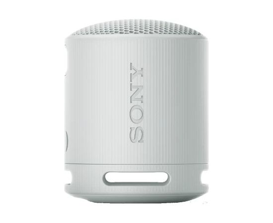 Sony XB100/H Компактная Bluetooth колонка