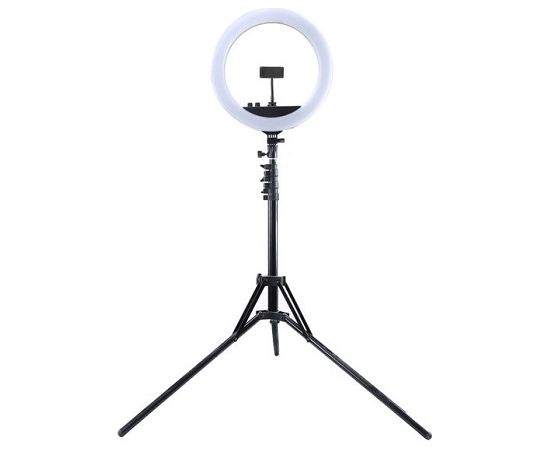 Puluz LED Ring Lamp 34.5cm with Tripod Stand up to 1.85m, Mirror, Phone Clamp, USB