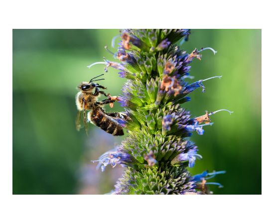 Tamron 90mm f/2.8 Di III Macro VXD lens for Sony
