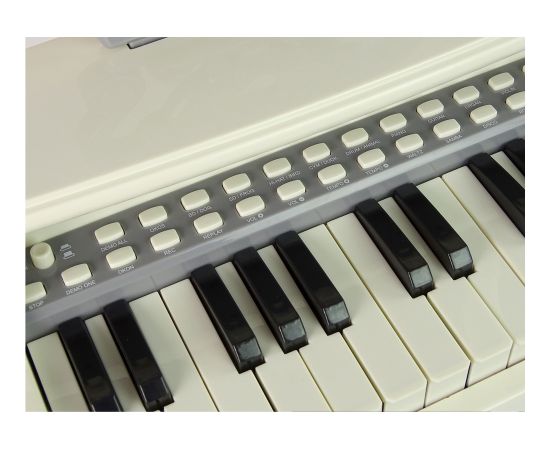 Elektroklavieres, 25 taustiņi ar tabureti 75029