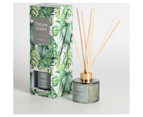Reed diffuser NATURE GREEN 100ml, Evergreen