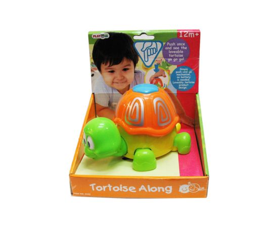 Tortoise along 2445