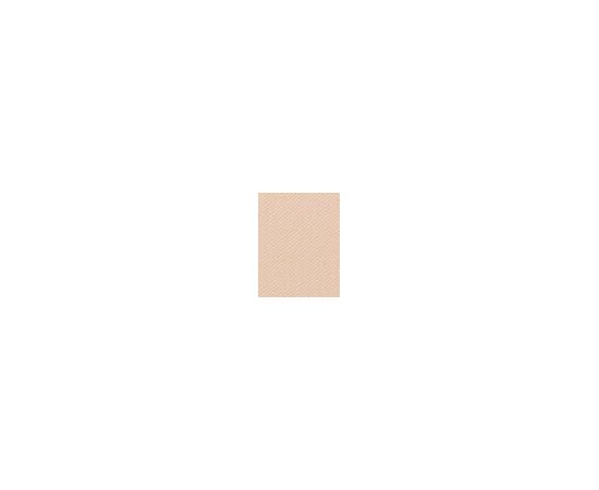 Gabriela Sabatini Nude Powder 8g SPF15 W / Powder