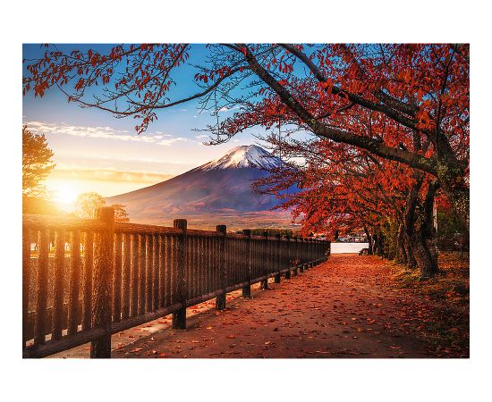 TREFL Premium Plus Пазл Mount Fuji, 1000 шт.