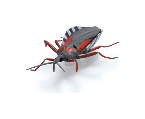 HEX BOTS интерактивная игрушка Nano Real Bugs 5шт