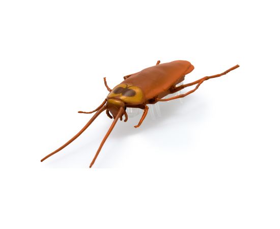 HEX BOTS интерактивная игрушка Nano Real Bugs 5шт