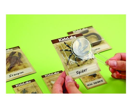 4M Creepy Crawly rakšanas komplekts