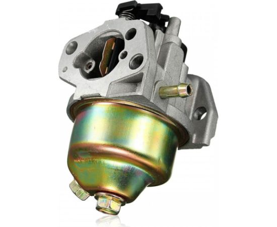 Carburetor Assy, MTD