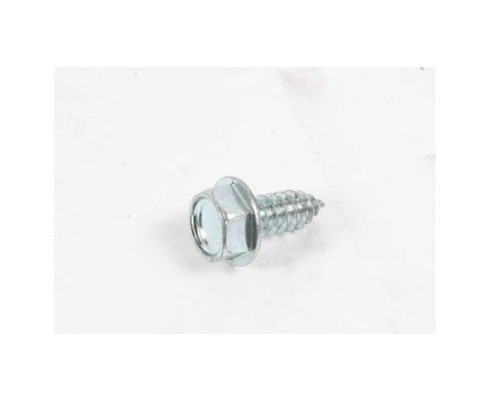 Screw 5/16-12 x .750, MTD