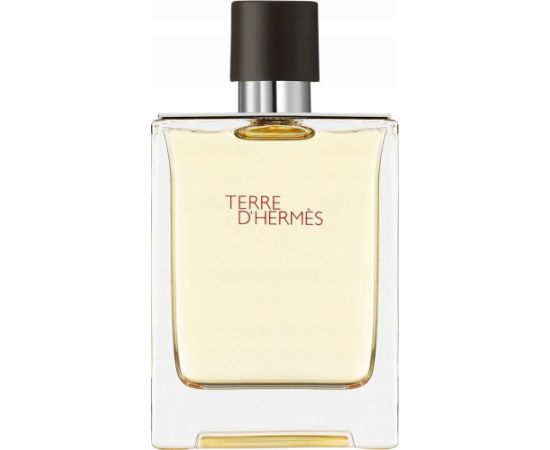 Hermes Terre D'hermes Eau De Toilette  100ml