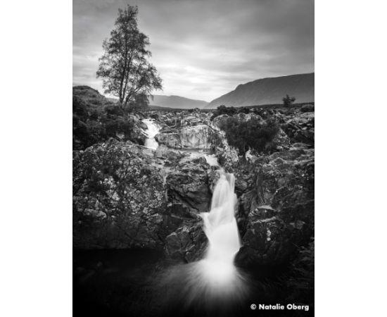 Ilford filmiņa Ortho Plus 135-36