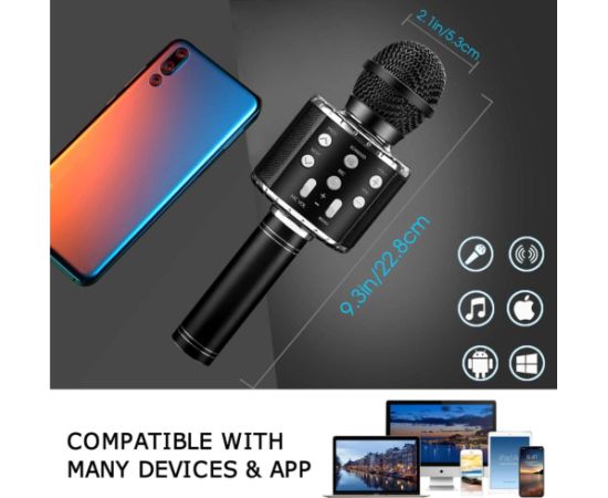 iWear M85 Караоке Микрофон для детей и взрослых с эффектом динамиками и записью Micro SD USB Bluetooth Черный
