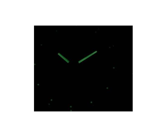 Orient RA-AA0C02L39B Наручные часы