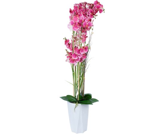 Orchid GARDEN QUEEN H132cm, pink Искусственные цветы и растения