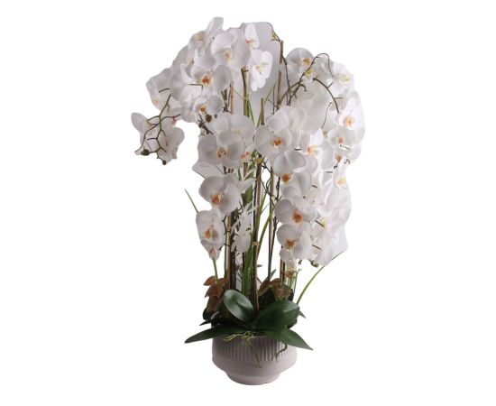 Орхидея GARDEN QUEEN H102см, белый Искусственные цветы и растения