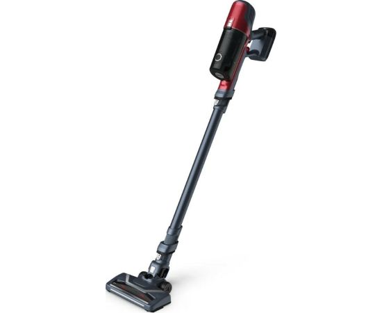 Handstick Cordless  Tefal, X-PERT 6.60 Animal^