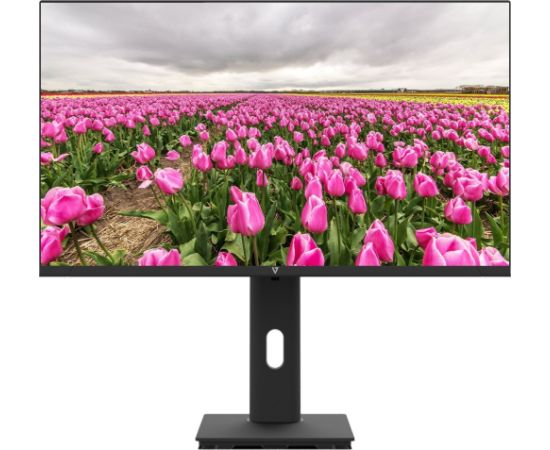 V7 23.8IN HT ADJUST MONITOR HDMI Monitori