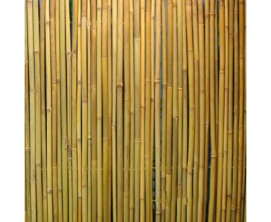 Perforēts bambusa žogs IN GARDEN 1,5x3m, dabīgais bambuss D14/16 mm, stieple iekšpusē