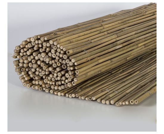 Perforēts bambusa žogs IN GARDEN 1,5x3m, dabīgais bambuss D14/16 mm, stieple iekšpusē