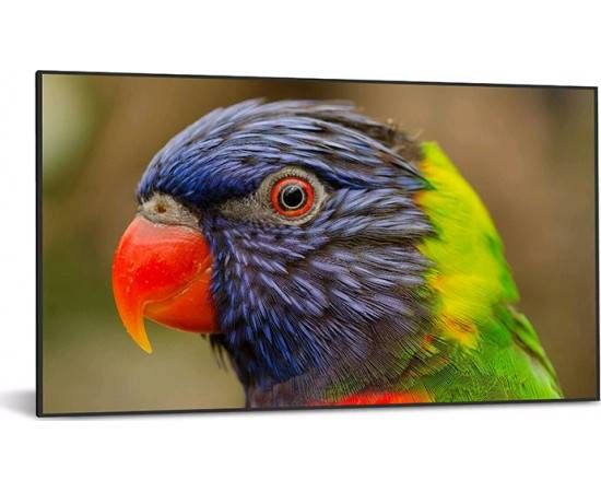 Monitor DynaScan DynaScan DS752LR4 190,50cm (75") Ultra High Brightness (Speditionsversand) Промышленные мониторы IPS / DSP