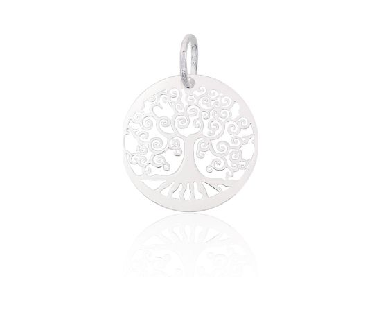 Sudraba kulons #2301362, Sudrabs 925°, 0.9 gr. Sieviešu