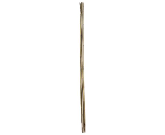 Bamboo canes IN GARDEN H180cm 10pcs/set D12/14mm