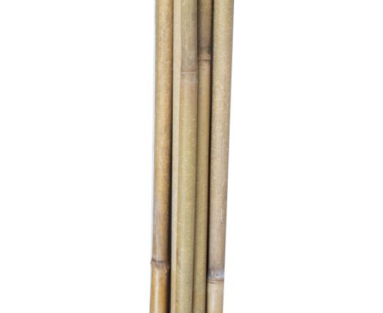 Bamboo canes IN GARDEN H180cm 10pcs/set D12/14mm
