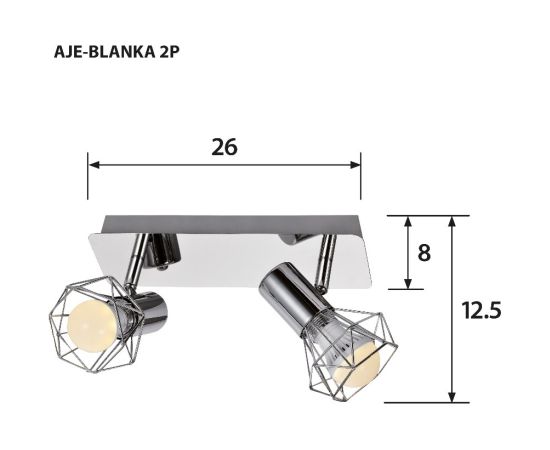 Activejet AJE-BLANKA 2P ceiling lamp