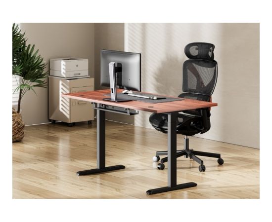 Регулируемый по высоте стол Up Up Bjorn Black, Table top M Dark Walnut Регулируемый по высоте стол Up Up Bjorn Black, Table top M Dark Walnut