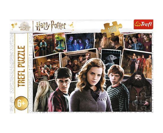 TREFL HARRY POTTER Puzle 160 gab.